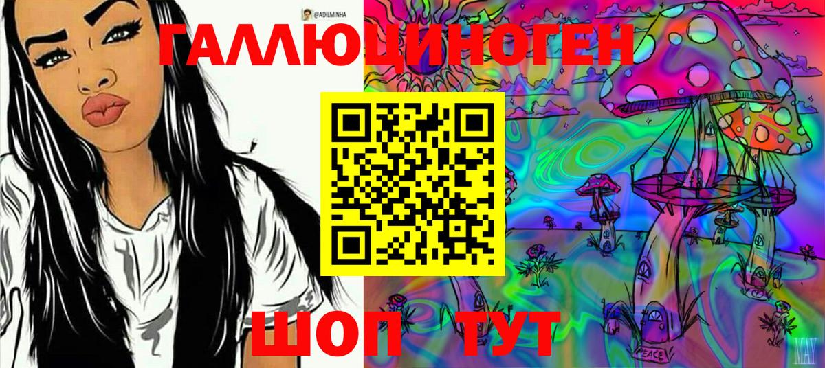 Галлюциногенные грибы Psilocybine cubensis  Вход с VPN  Псилоцибиновые грибы мицелий  Камышин 