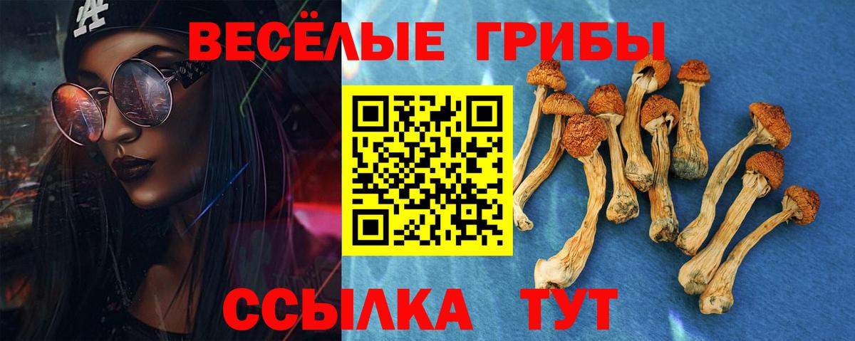 Псилоцибиновые грибы ЛСД Камышин