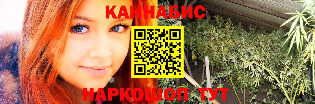 Конопля LSD WEED  Вход с VPN  МАРИХУАНА план  Конопля планчик  Камышин  Канабис семена 